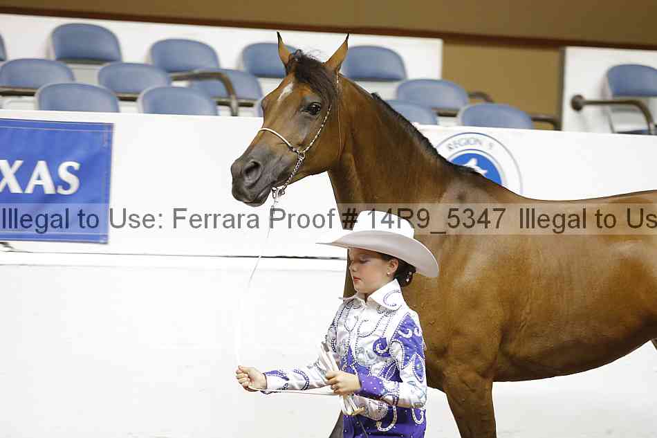 Proof Number 14r9_5347
