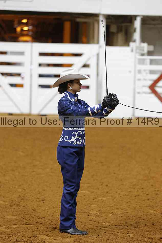 Proof Number 14r9_5358