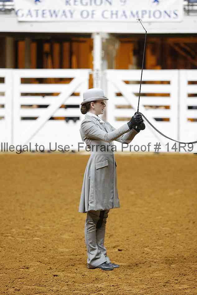 Proof Number 14r9_5366