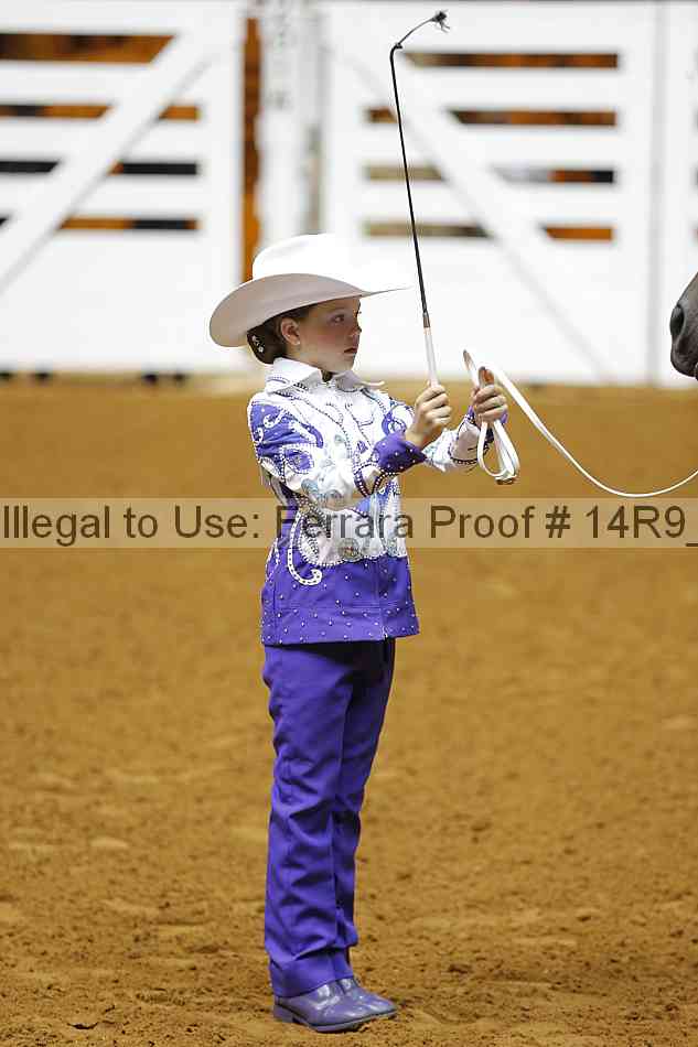 Proof Number 14r9_5383