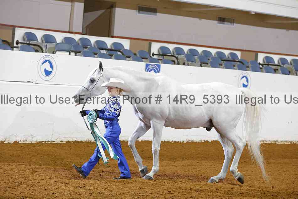Proof Number 14r9_5393