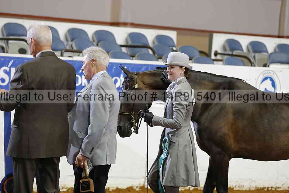 Proof Number 14r9_5401