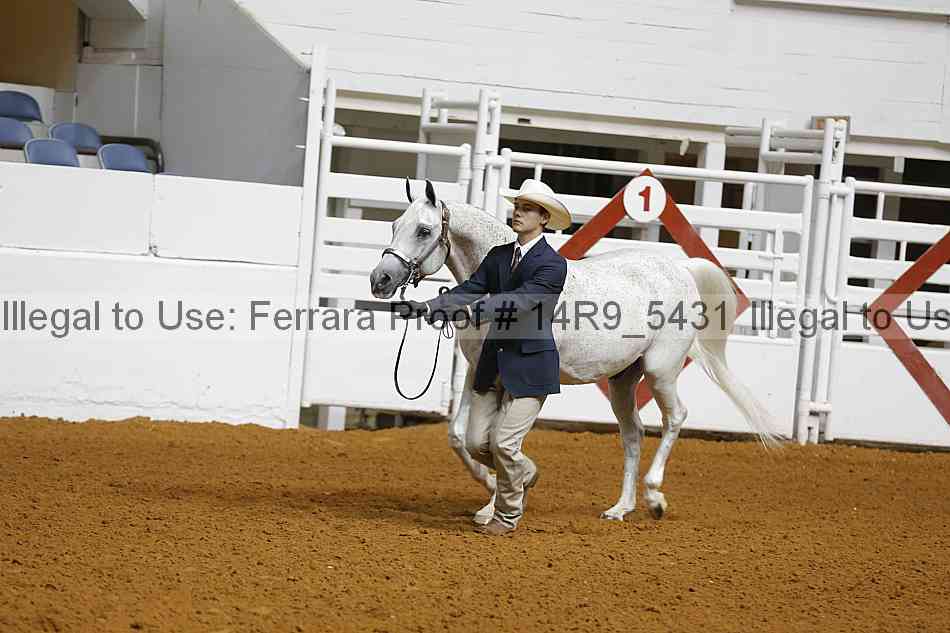 Proof Number 14r9_5431