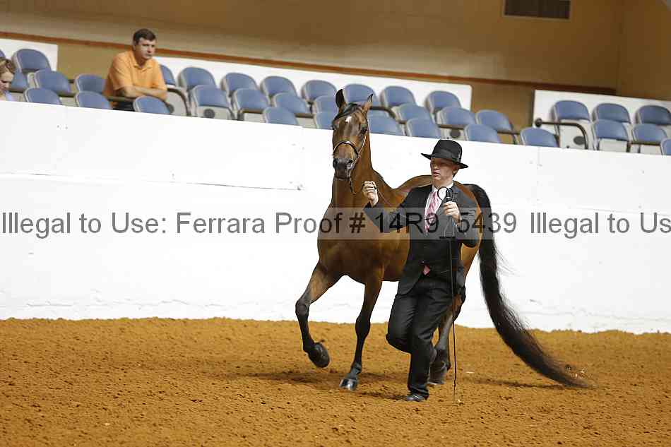 Proof Number 14r9_5439