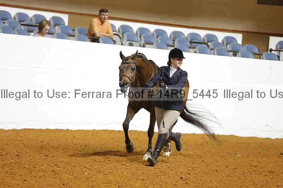 Proof Number 14r9_5445