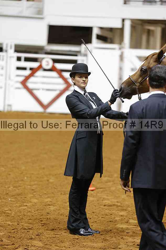 Proof Number 14r9_5453