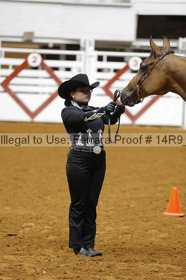 Proof Number 14r9_5456