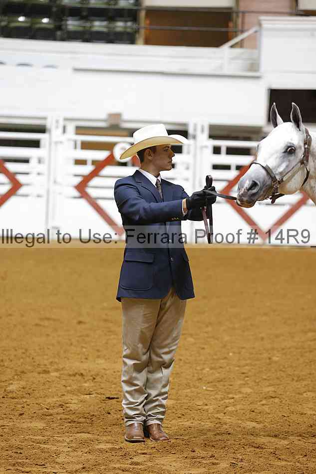 Proof Number 14r9_5462