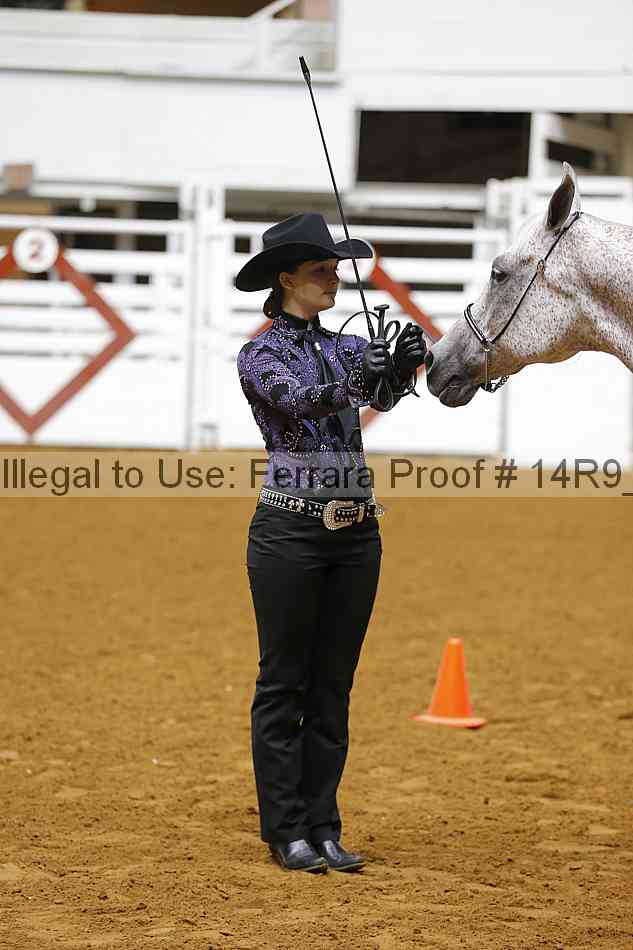 Proof Number 14r9_5464