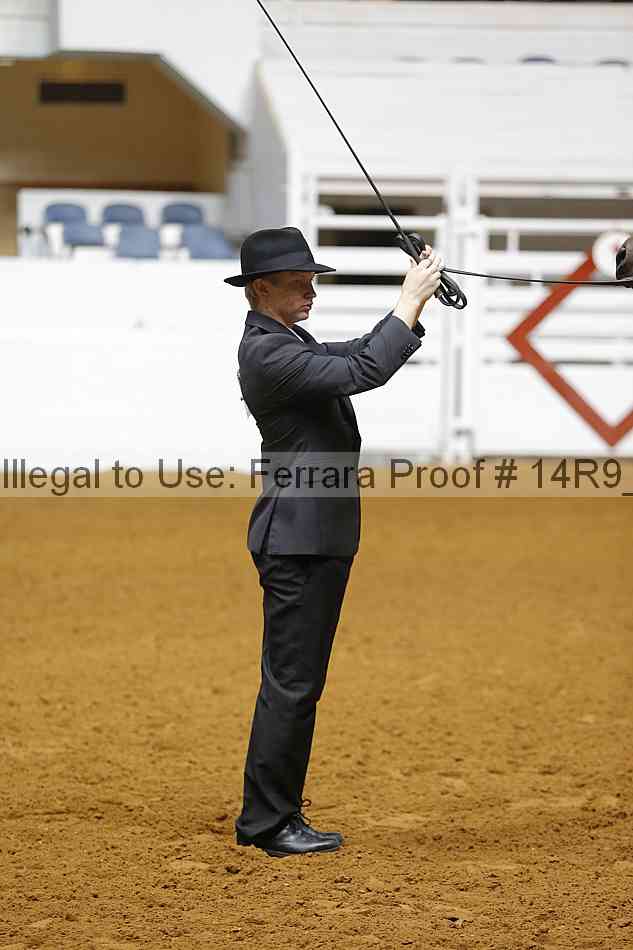 Proof Number 14r9_5472