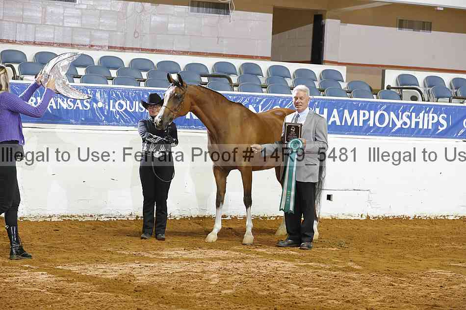 Proof Number 14r9_5481