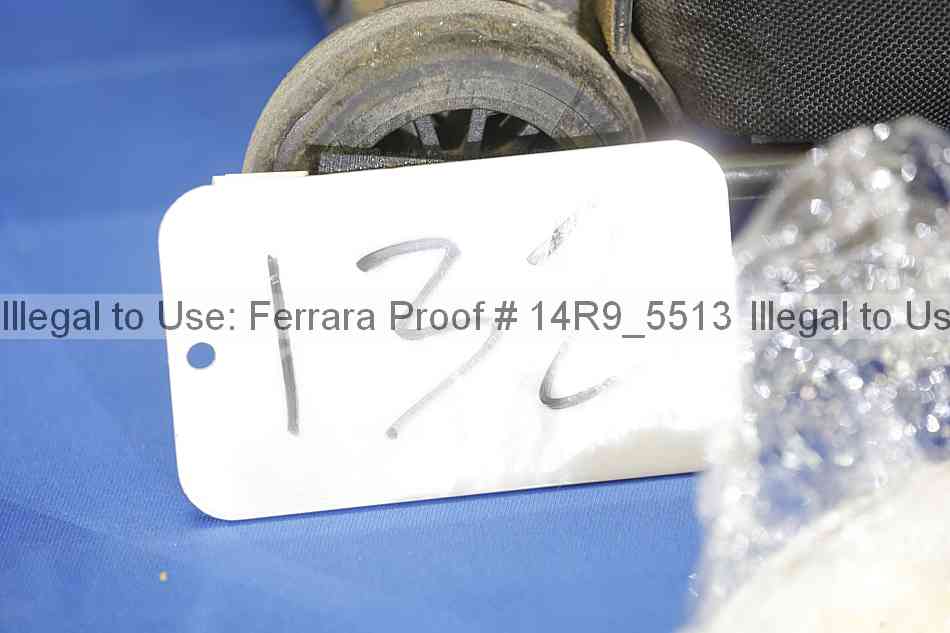 Proof Number 14r9_5513