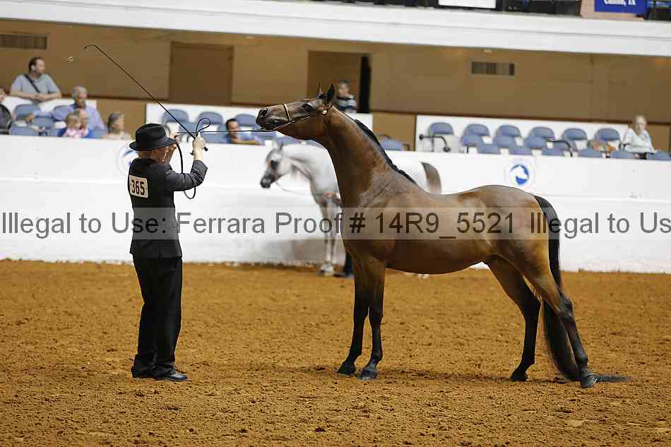 Proof Number 14r9_5521