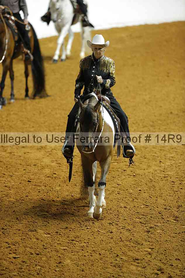 Proof Number 14r9_5582