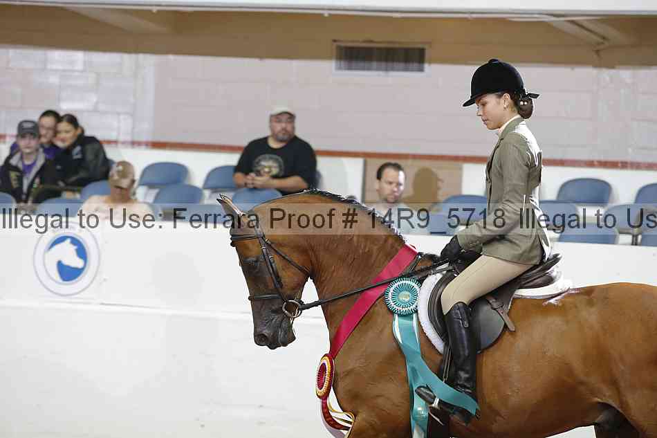 Proof Number 14r9_5718