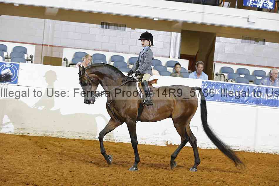 Proof Number 14r9_5786