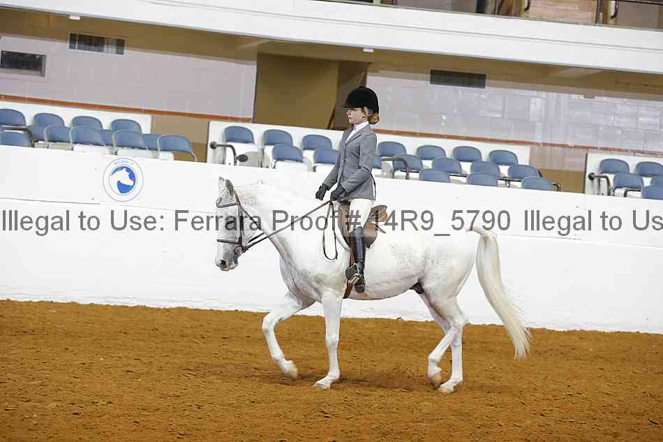 Proof Number 14r9_5790