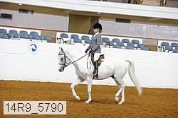 14r9_5790 thumbnail