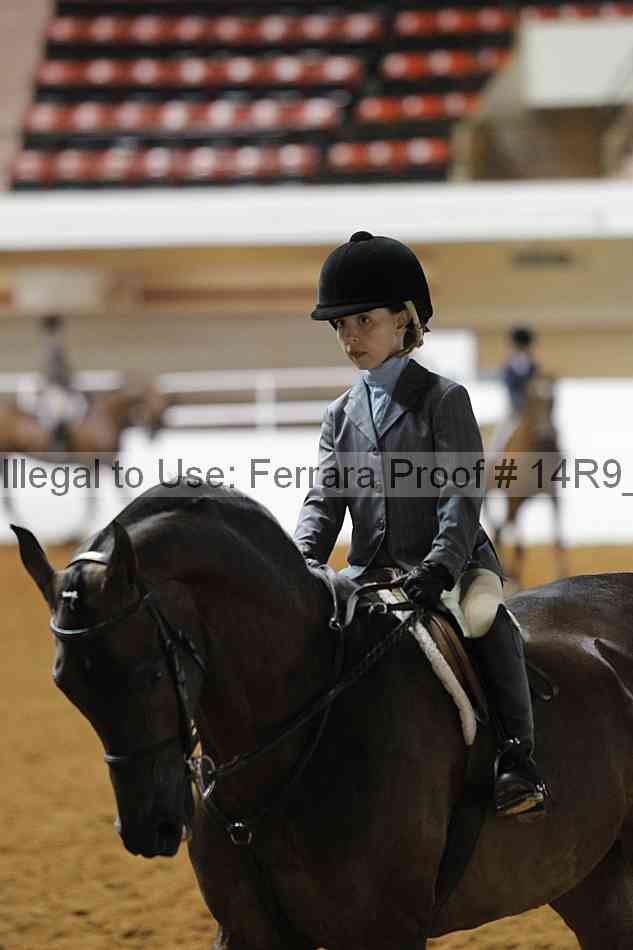 Proof Number 14r9_5799