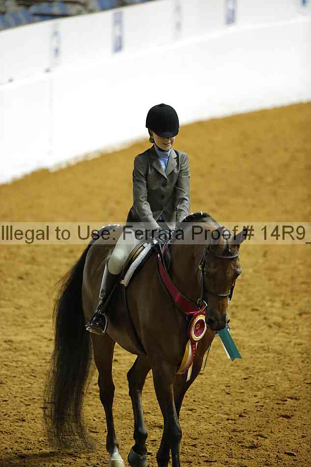 Proof Number 14r9_5813