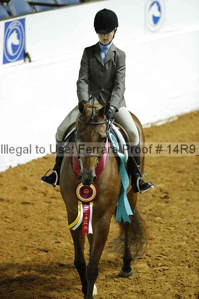 Proof Number 14r9_5835