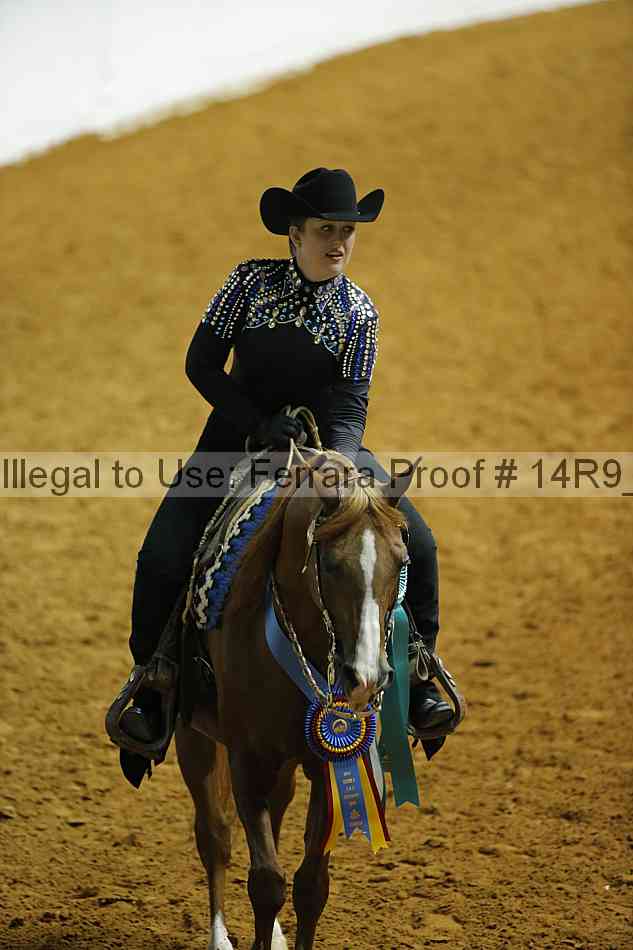 Proof Number 14r9_5894