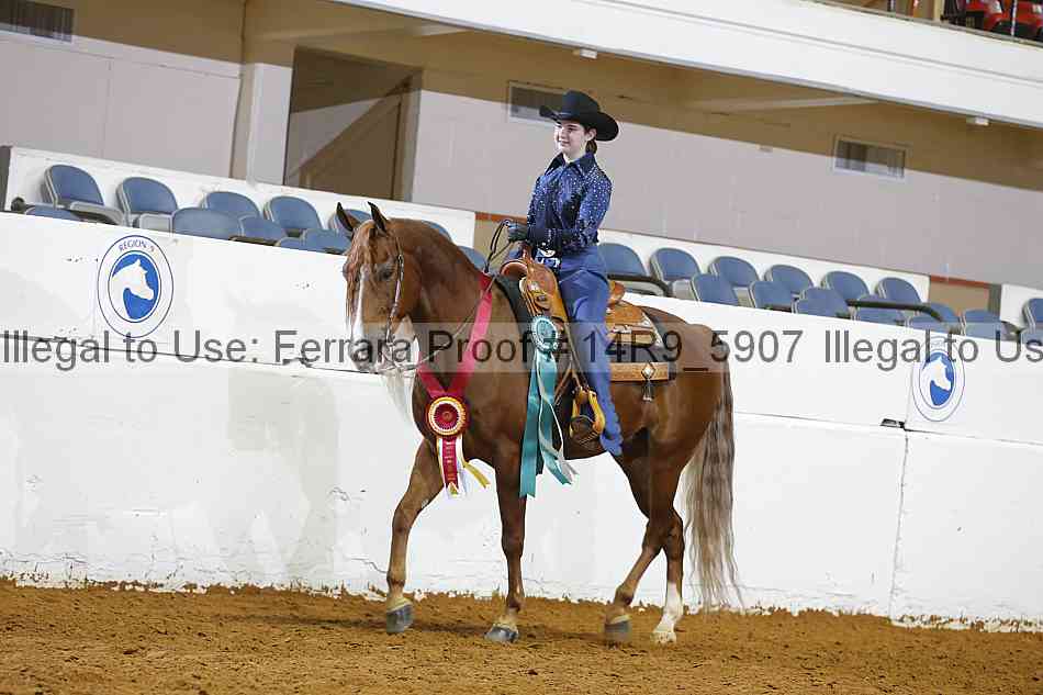 Proof Number 14r9_5907