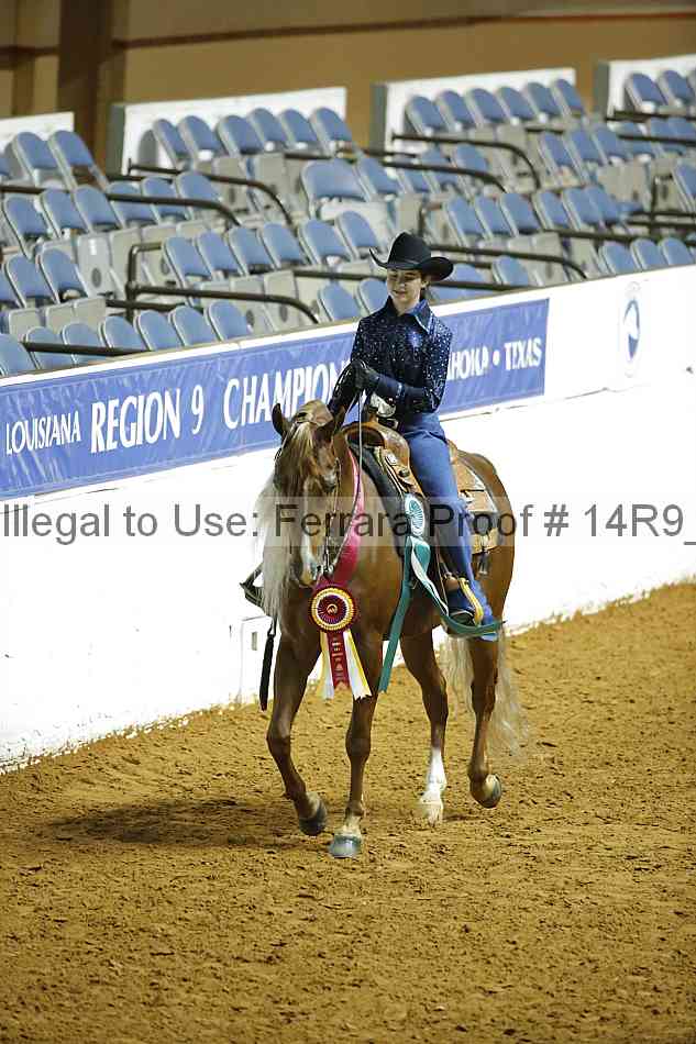 Proof Number 14r9_5911