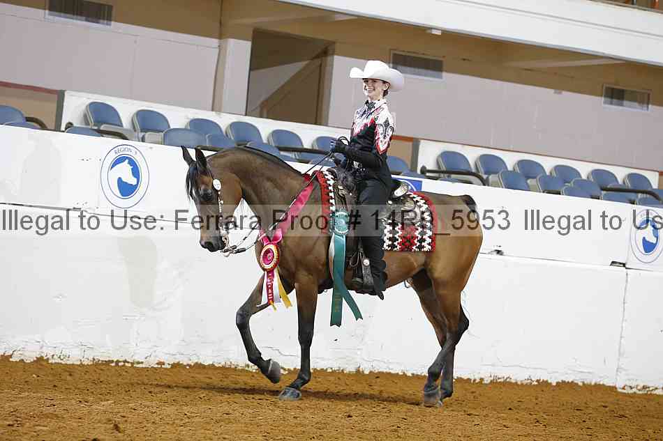 Proof Number 14r9_5953