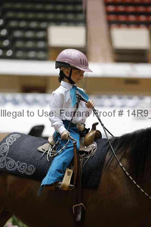 Proof Number 14r9_5273