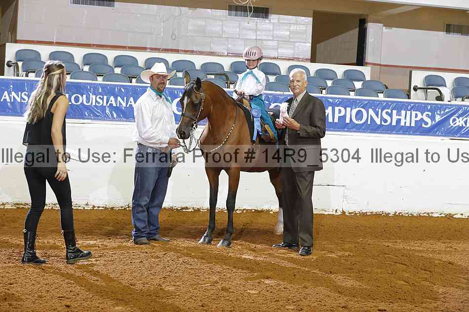 Proof Number 14r9_5304