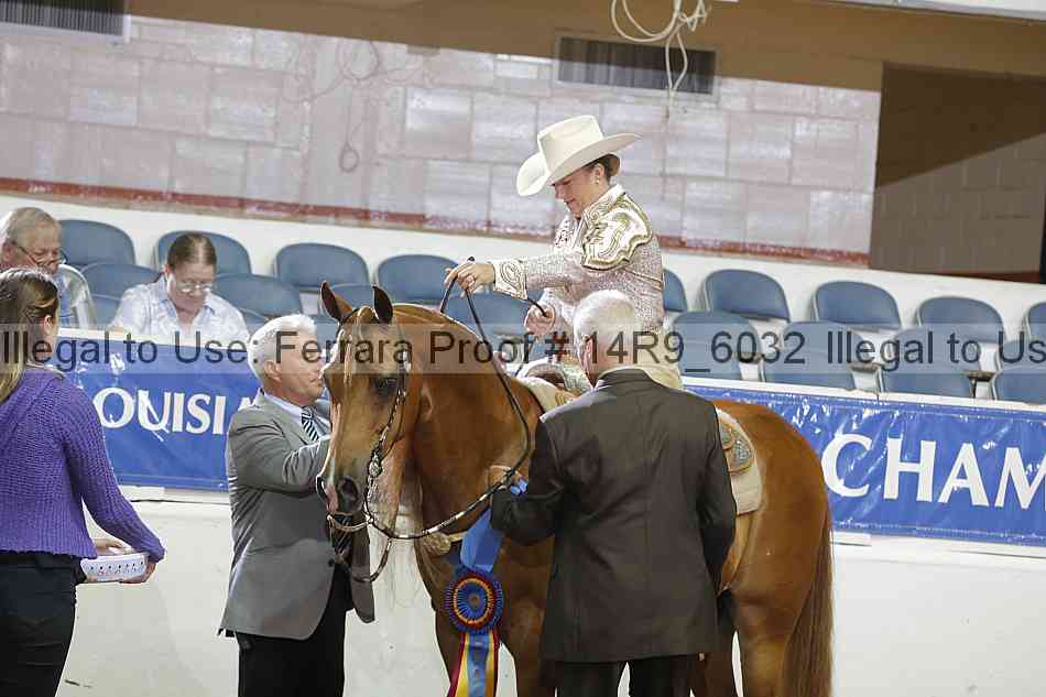 Proof Number 14r9_6032