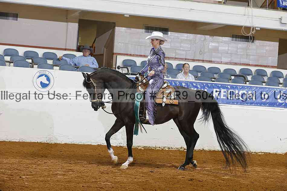 Proof Number 14r9_6047