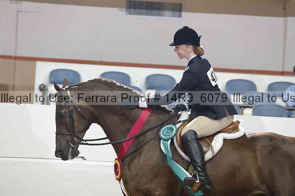 Proof Number 14r9_6079