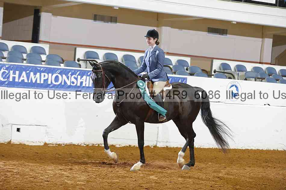 Proof Number 14r9_6086