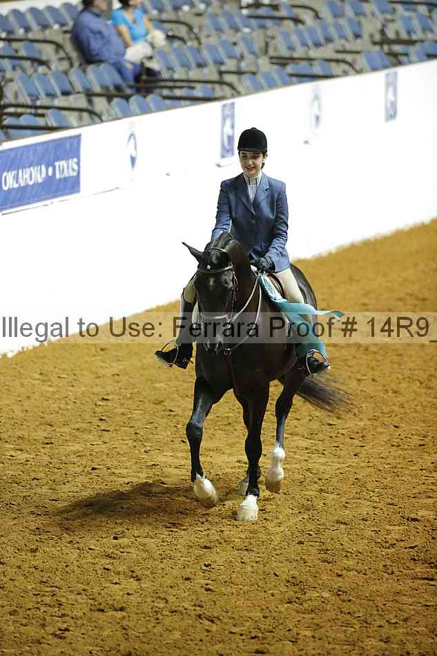Proof Number 14r9_6088