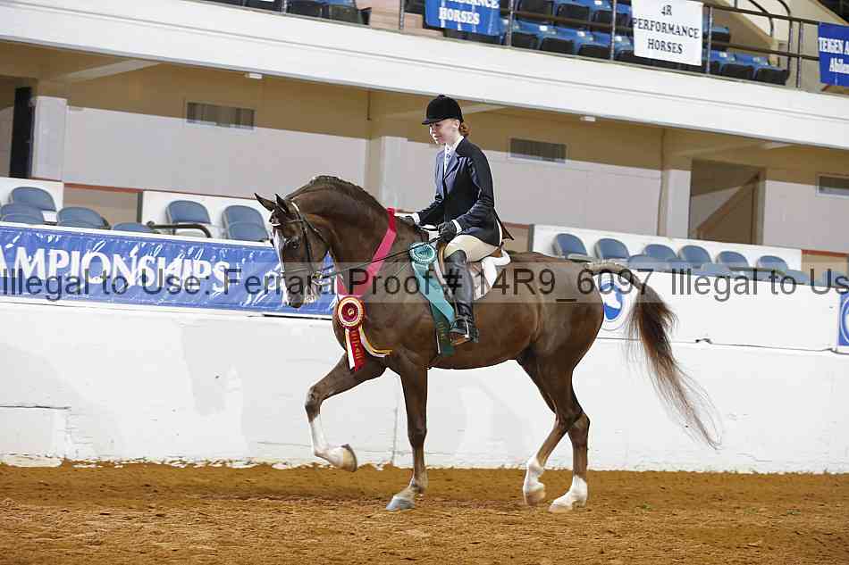 Proof Number 14r9_6097