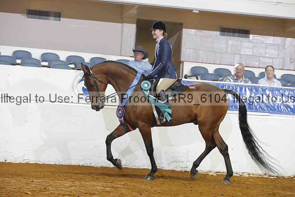 Proof Number 14r9_6104