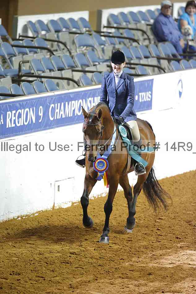 Proof Number 14r9_6106