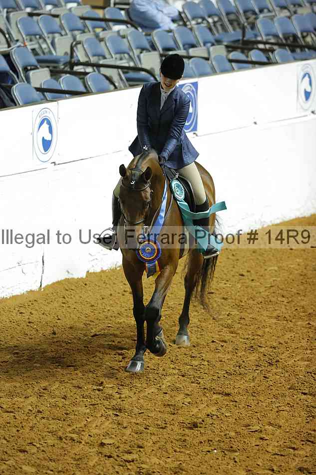 Proof Number 14r9_6107