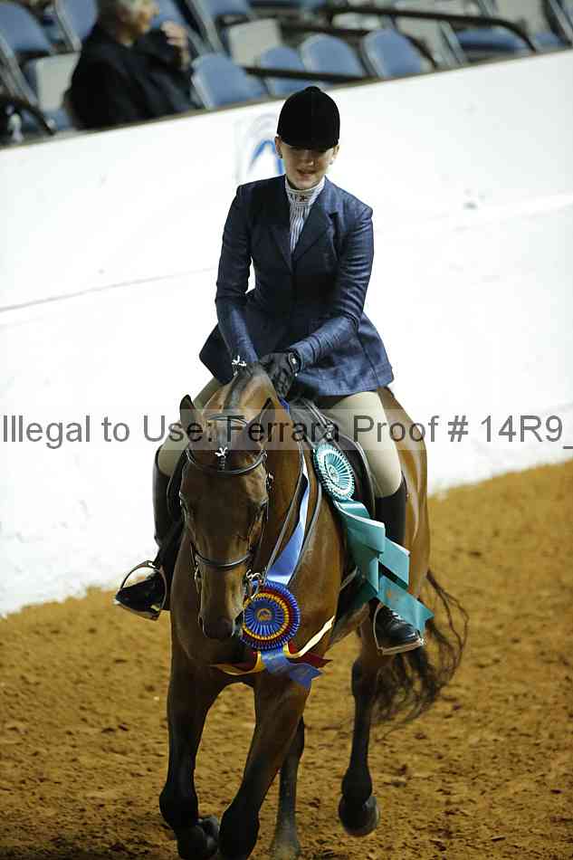 Proof Number 14r9_6108