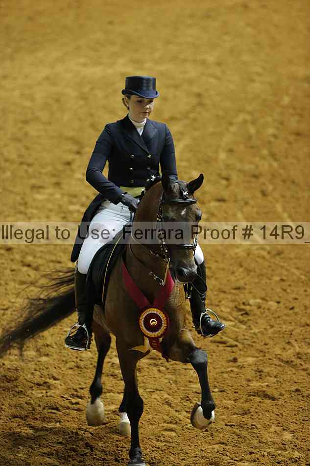 Proof Number 14r9_6152