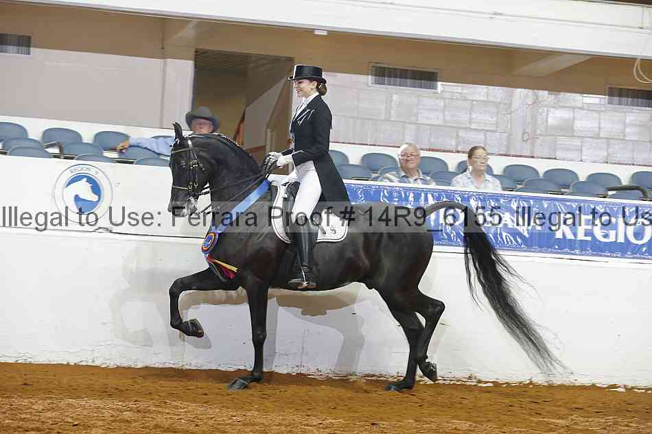 Proof Number 14r9_6155