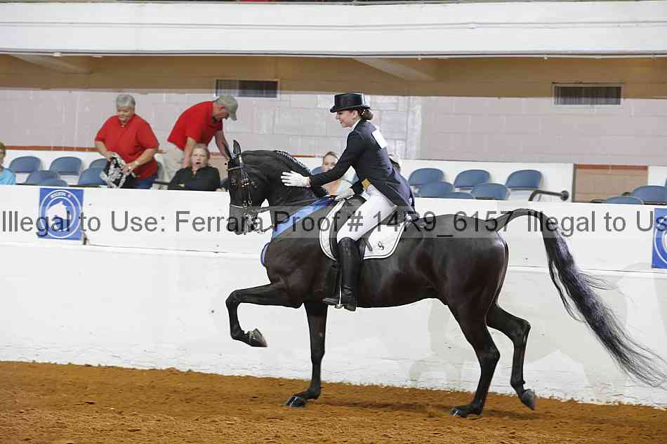 Proof Number 14r9_6157