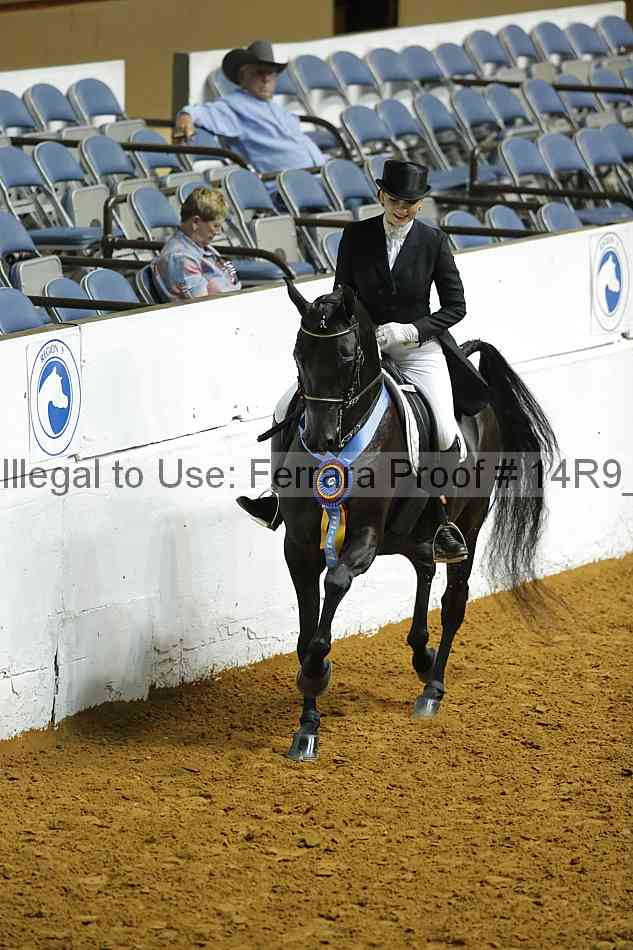 Proof Number 14r9_6159