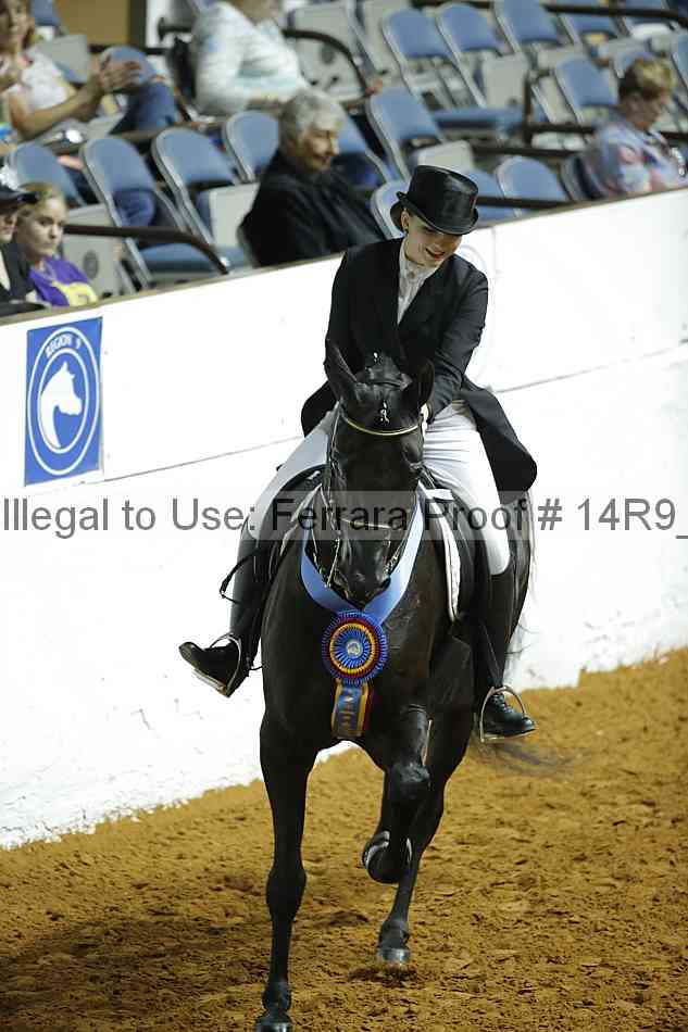 Proof Number 14r9_6160