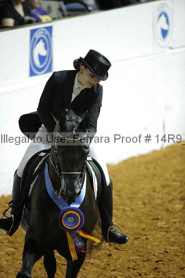 Proof Number 14r9_6162
