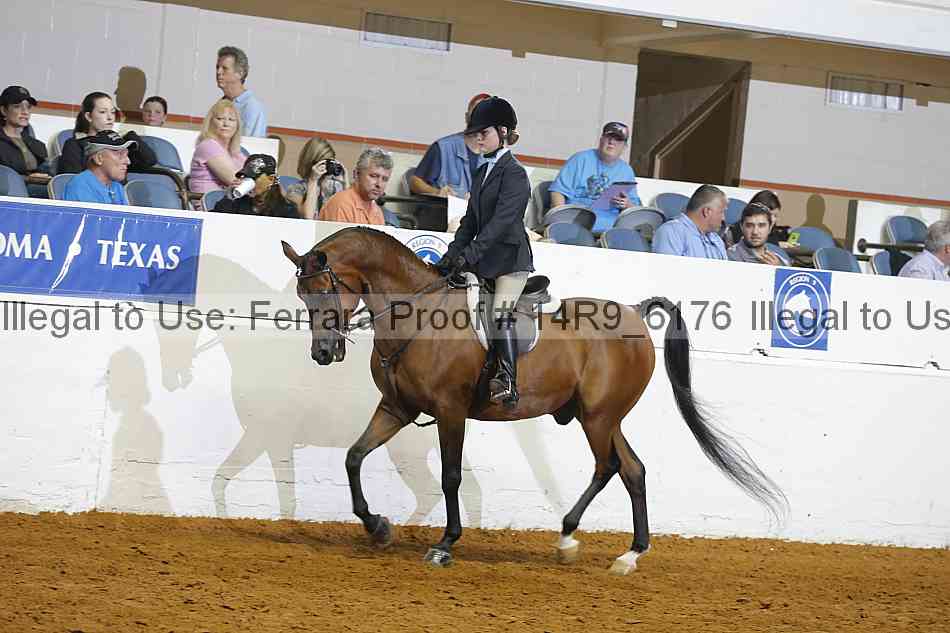 Proof Number 14r9_6176