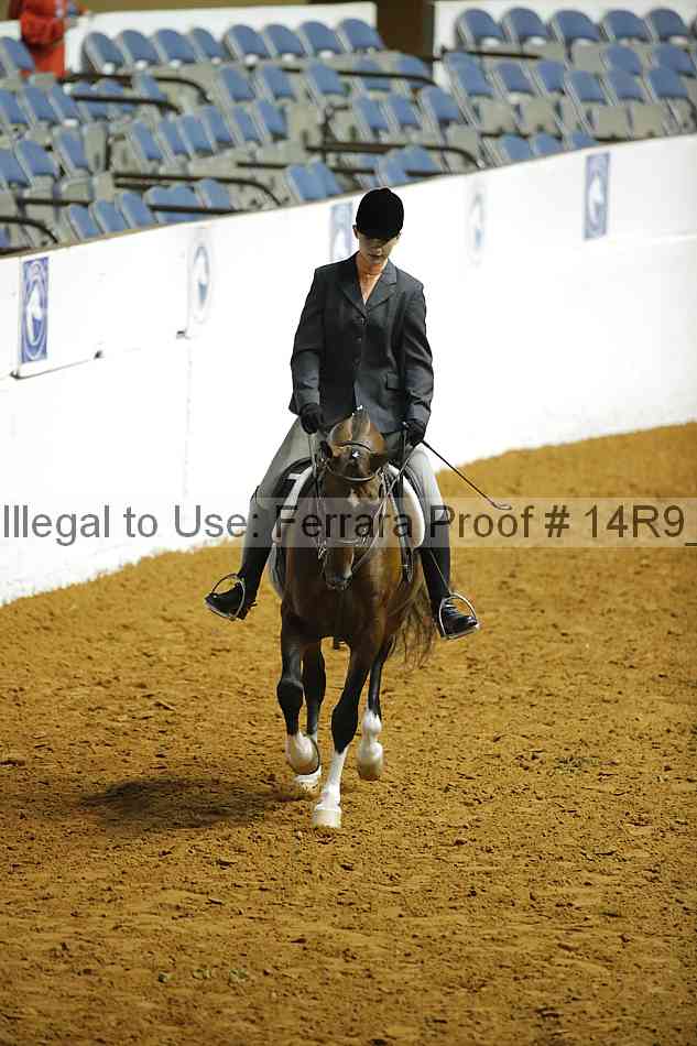Proof Number 14r9_6182