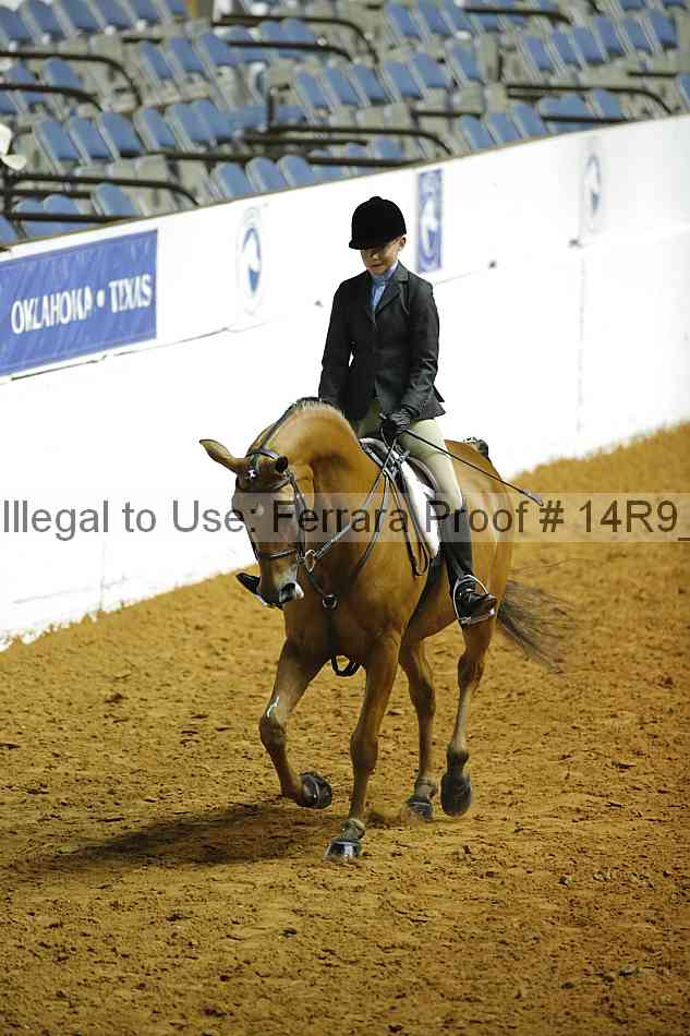 Proof Number 14r9_6188